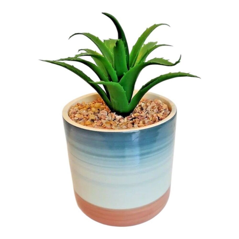 Succulent Flower Arrangement Bouquet Centerpiece Blue White Green Pink Ceramic
